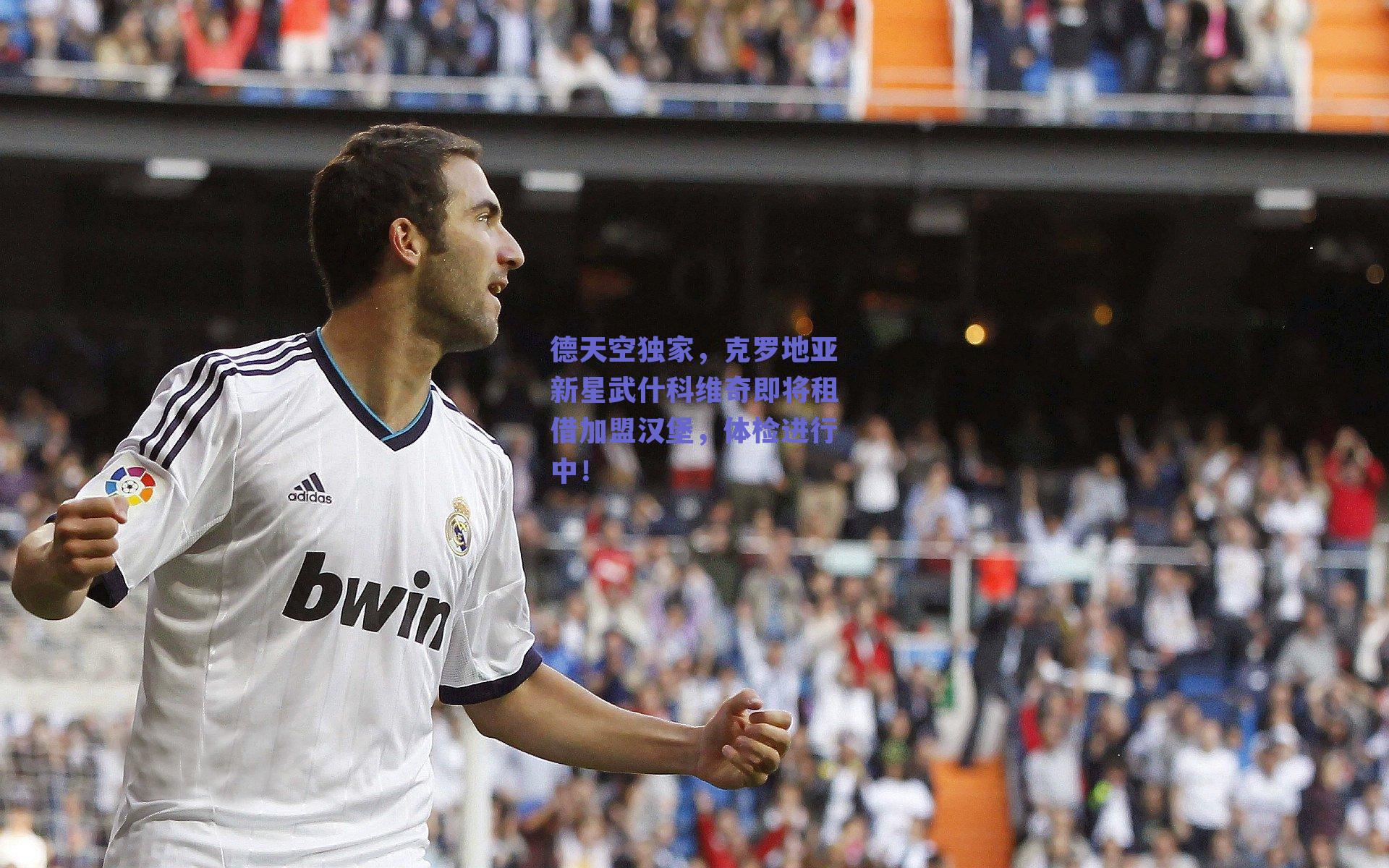 球友体育直播-德天空独家，克罗地亚新星武什科维奇即将租借加盟汉堡，体检进行中！