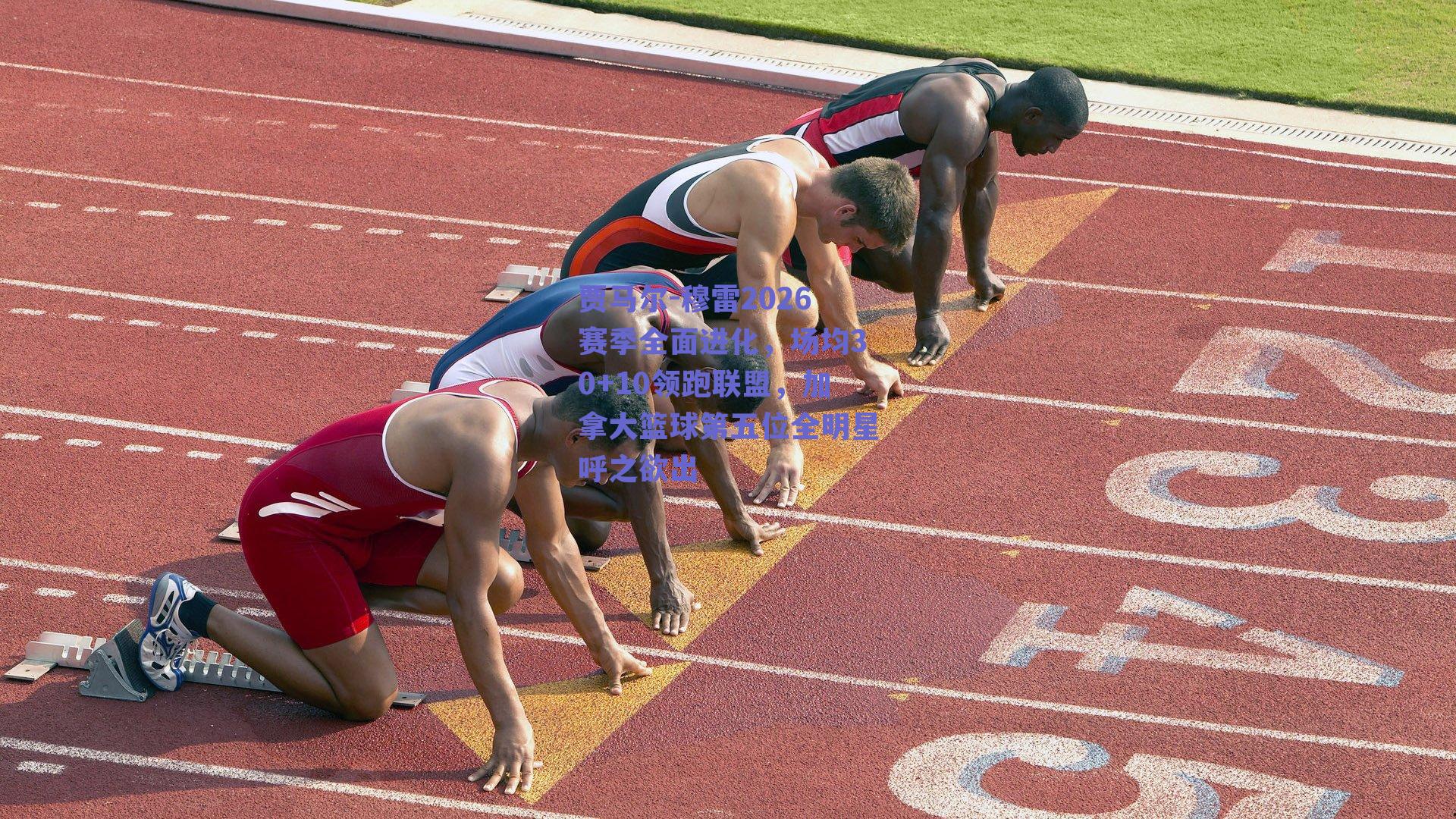 贾马尔-穆雷2026赛季全面进化，场均30+10领跑联盟，加拿大篮球第五位全明星呼之欲出